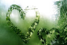 英格兰席卷格鲁吉亚，壮志凌云将继续前进