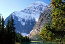 华人球员闪耀英超赛场，助球队取胜