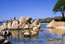 太阳队后卫发挥出色，砍下关键三分